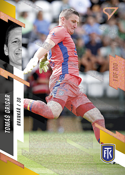Tomas Grigar Teplice SportZoo FORTUNA:LIGA 2023/24 1. serie Cooper /100 #139