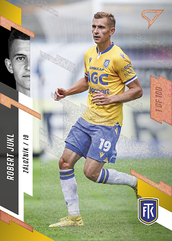 Robert Jukl Teplice SportZoo FORTUNA:LIGA 2023/24 1. serie Cooper /100 #143