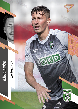 David Krcik Karvina SportZoo FORTUNA:LIGA 2023/24 1. serie Green /60 #189