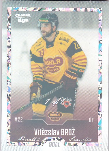 Vitezslav Broz Jihlava Chance liga 2022/23 2. serie GOAL Cards 1/1 #210