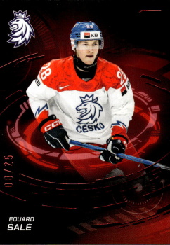 Eduard Sale Reprezentace Hokejove Cesko 2024 SportZoo Top Prospects /25 #TP-8