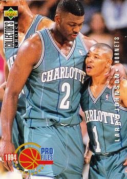 Larry Johnson Charlotte Hornets 1994/95 UD Collector's Choice NBA #206