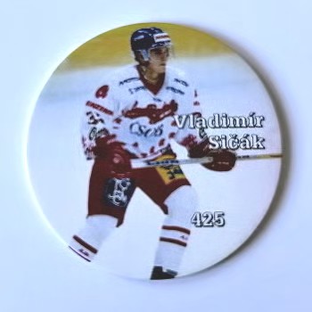 Vladimir Sicak Ceske Budejovice Staropramen Extraliga Cesky hokej POG 1998/99 #425