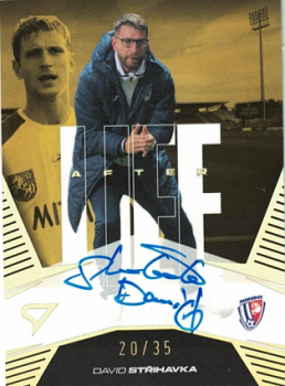 David Strihavka Pardubice SportZoo Chance Liga 2024/25 2. serie Afterlife Auto /35 #ALS-DS