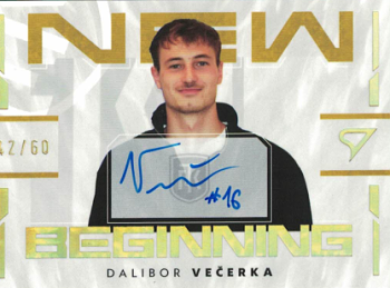 Dalibor Vecerka Teplice SportZoo Chance Liga 2024/25 2. serie New Beginnings Auto /60 #NBS-DV