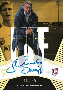 David Strihavka Pardubice SportZoo Chance Liga 2024/25 2. serie Afterlife Auto /35 #ALS-DS