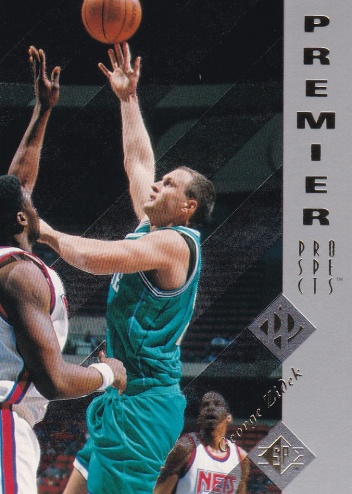 Jiri Zidek Charlotte Hornets 1995/96 SP #150 