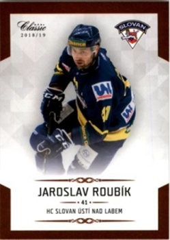 Jaroslav Roubik Usti nad Labem OFS Chance liga 2018/19 #244
