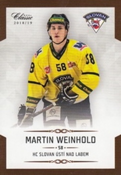 Martin Weinhld Usti nad Labem OFS Chance liga 2018/19 #250