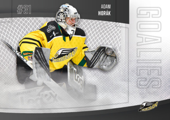 Adam Horak Sokolov Chance liga 2022/23 GOAL Cards Goalies #5