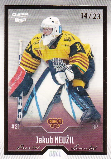 Jakub Neuzil Jihlava Chance liga 2022/23 2. serie GOAL Cards Gold /23 #201
