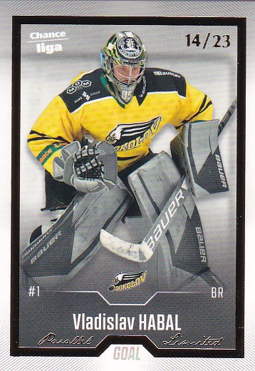 Vladislav Habal Sokolov Chance liga 2022/23 2. serie GOAL Cards Gold /23 #231
