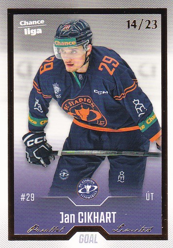 Jan Cikhart Litomerice Chance liga 2022/23 2. serie GOAL Cards Gold /23 #269