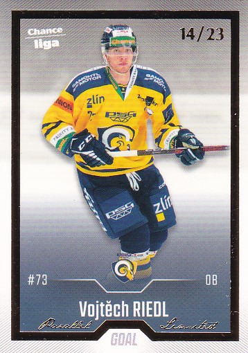 Vojtech Riedl Zlin Chance liga 2022/23 2. serie GOAL Cards Gold /23 #391