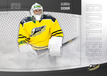 Oldrich Cichon Sokolov Chance liga 2022/23 2. serie GOAL Cards Goalies #21