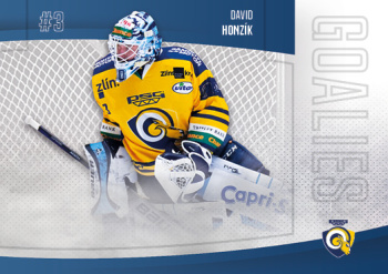 David Honzik Zlin Chance liga 2022/23 2. serie GOAL Cards Goalies #40