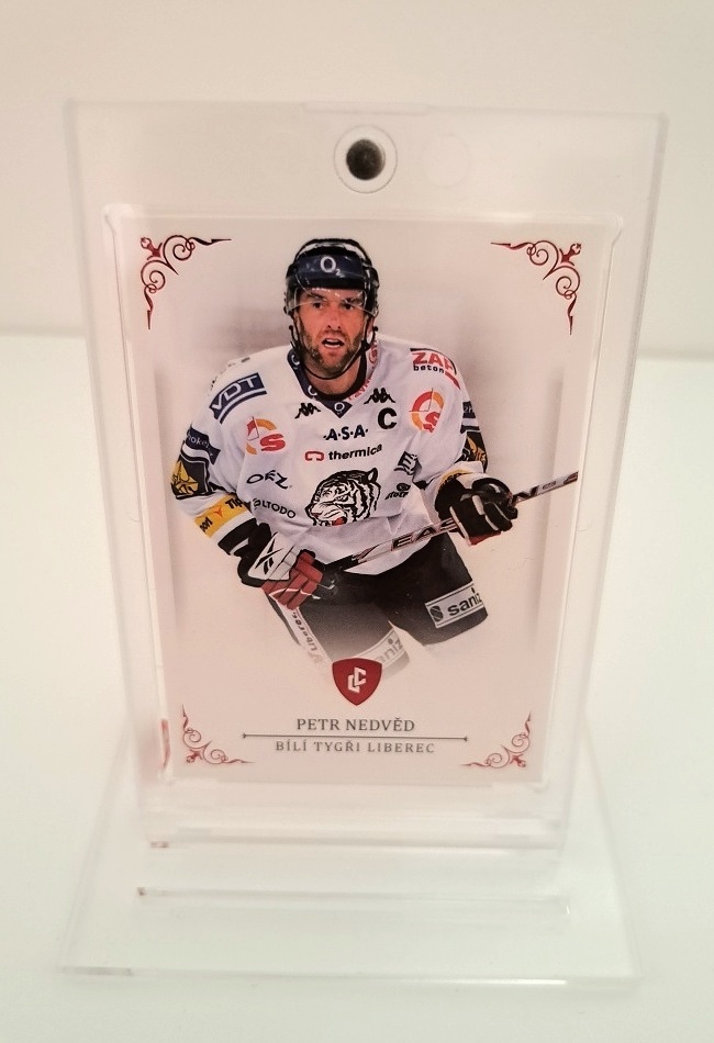 Petr Nedved Liberec LC 2023 Rekordy ELH Records Red /10 #80
