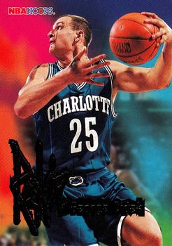 Jiri Zidek Charlotte Hornets 1995/96 NBA Hoops #254