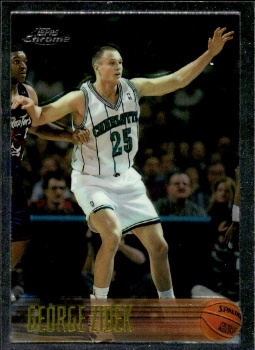Jiri Zidek Charlotte Hornets 1996/97 Topps Chrome #83