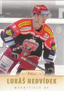 Lukas Nedvidek Hradec Kralove OFS 2015/16 Serie II. #366