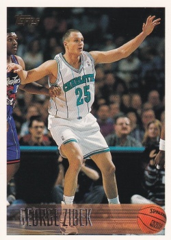 Jiri Zidek Charlotte Hornets 1996/97 Topps #83