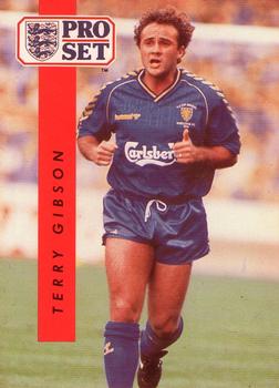 Terry Gibson Wimbledon 1990/91 Pro Set #248