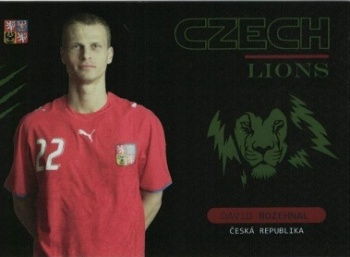 David Rozehnal Czech Republic proArena Repre v srdcich 2022 Czech Lions #LI05