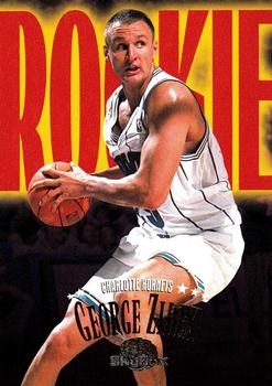 Jiri Zidek Charlotte Hornets 1995/96 Skybox Premium #221