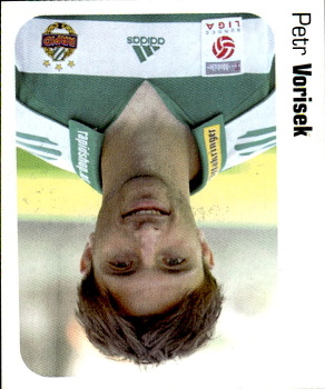 Petr Vorisek Rapid Wien samolepka Austrian Bundesliga Fussball 2006/07 #133