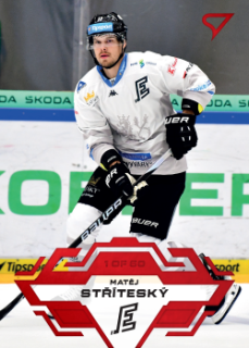 Matej Stritesky Karlovy Vary Tipsport ELH 2023/24 SportZoo 1. serie Goal Light /60 #152
