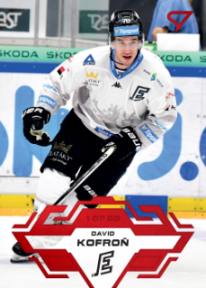 David Kofron Karlovy Vary Tipsport ELH 2023/24 SportZoo 1. serie Goal Light /60 #160
