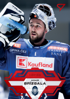 Adam Brizgala Kladno Tipsport ELH 2023/24 SportZoo 1. serie Goal Light /60 #236