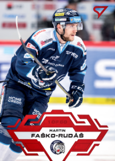 Martin Fasko-Rudas Liberec Tipsport ELH 2023/24 SportZoo 1. serie Goal Light /60 #100