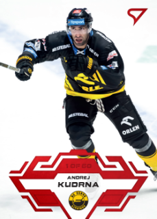 Andrej Kudrna Litvinov Tipsport ELH 2023/24 SportZoo 1. serie Goal Light /60 #196