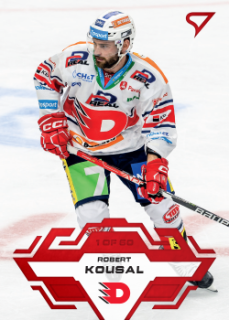 Robert Kousal Pardubice Tipsport ELH 2023/24 SportZoo 1. serie Goal Light /60 #48