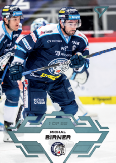 Michal Birner Liberec Tipsport ELH 2023/24 SportZoo 1. serie Ice Reflection /95 #98