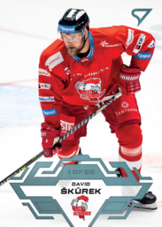 David Skurek Olomouc Tipsport ELH 2023/24 SportZoo 1. serie Ice Reflection /95 #134