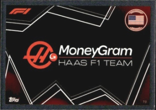 Haas Team Logo Haas Topps F1 Turbo Attax 2023 #73