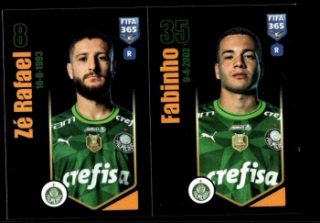 Ze Rafael / Fabinho Palmeiras samolepka Panini FIFA 365 2024 #47