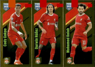 Cody Gakpo / Darwin Nunez / Mohamed Salah Liverpool samolepka Panini FIFA 365 2024 #81