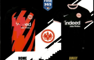 Jerseys Eintracht Frankfurt samolepka Panini FIFA 365 2024 #245