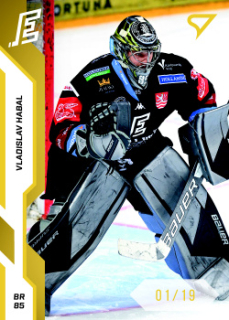 Vladislav Habal Karlovy Vary Tipsport ELH 2022/23 SportZoo 2. serie Gold /19 #339