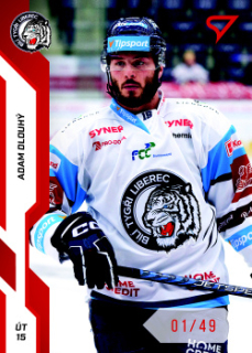 Adam Dlouhy Liberec Tipsport ELH 2022/23 SportZoo 2. serie Red /49 #305