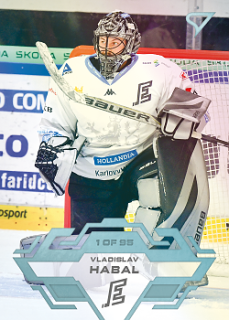 Vladislav Habal Karlovy Vary Tipsport ELH 2023/24 SportZoo 2. serie Ice Reflection /95 #320