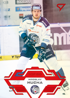Miroslav Mucha Liberec Tipsport ELH 2023/24 SportZoo 2. serie Goal Light /60 #302