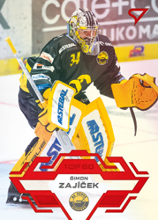 Simon Zajicek Litvinov Tipsport ELH 2023/24 SportZoo 2. serie Goal Light /60 #339
