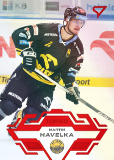 Martin Havelka Litvinov Tipsport ELH 2023/24 SportZoo 2. serie Goal Light /60 #343