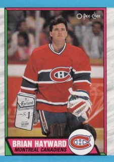 Brian Hayward Montreal Canadiens O-Pee-Chee 1989/90  #237