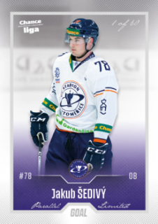 Jakub Sedivy Litomerice Chance liga 2022/23 2. serie GOAL Cards Silver /60 #266