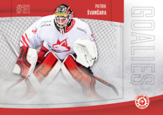 Patrik Svancara Frydek Mistek Chance liga 2022/23 2. serie GOAL Cards Goalies #33